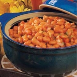 Salsa Pinto Beans