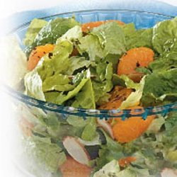 Orange Romaine Salad