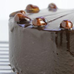 Chocolate Hazelnut Torte