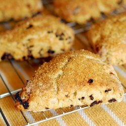 Dried Cherry Buttermilk Scones