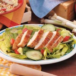 Grilled Chicken Salad