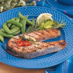 Grilled Salmon Steaks