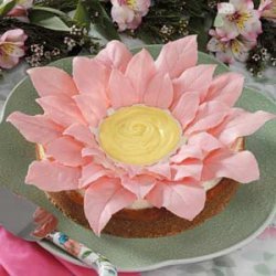 Blossom Cheesecake