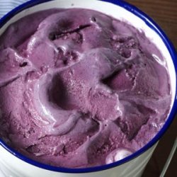 Blueberry Ice Cream