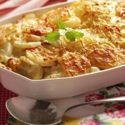 Fennel-Potato Au Gratin