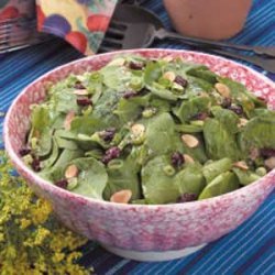 Cranberry Almond Spinach Salad