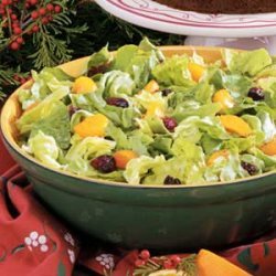 Orange-Cranberry Tossed Salad