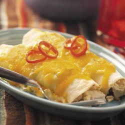 Creamy Chicken Enchiladas