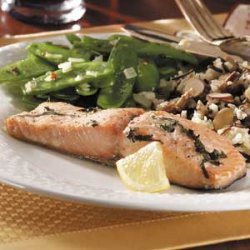 Lemon Basil Salmon