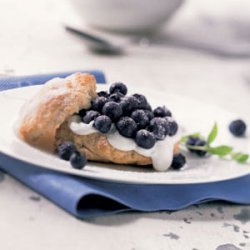 Blueberry Shortcake