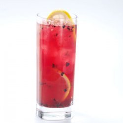 Berry Berry Lemonade