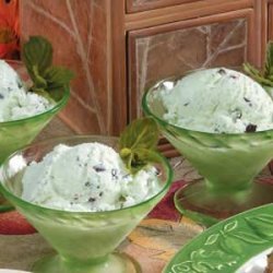 Chocolate Chip Mint Ice Cream