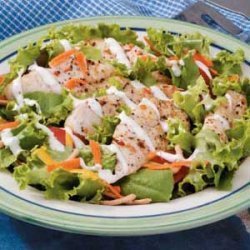 Grilled Chicken Salad