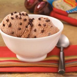 Cinnamon Chocolate Chip Ice Cream