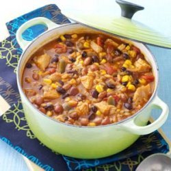 Tortilla Chicken Bean Soup