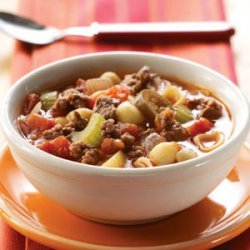 Zesty Hamburger Soup