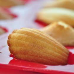 Madeleines