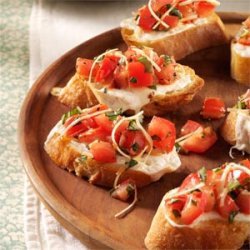 Fresh Tomato Bruschetta