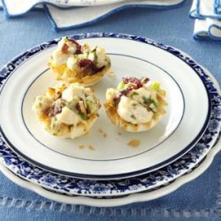 Turkey-Cranberry Minis