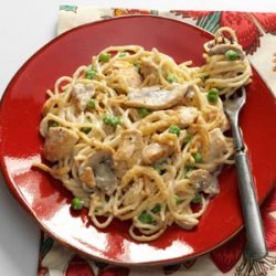 Turkey Alfredo Tetrazzini