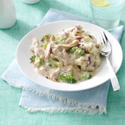 Creamy Chicken & Broccoli Stew