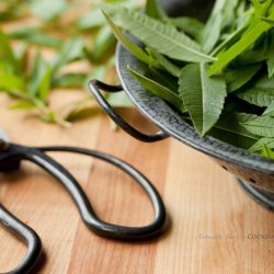 Lemon Verbena Ice Cream