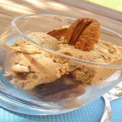 Chocolate Pecan Ice Cream