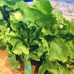 Escarole and Little Meatball Soup