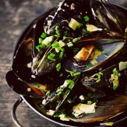 Mussels in Cream Sauce