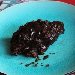 Hot Fudge Pudding Cake II