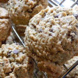 Oatmeal Chocolate Chip Lactation Cookies by Noel Trujillo