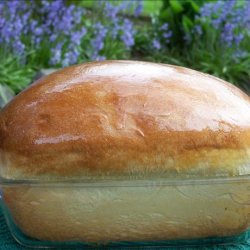 Sweet Hawaiian Yeast Bread (bread Machine)