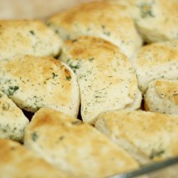 Quick ( I Mean Quick) Herb Rolls