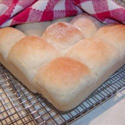 Potato Rolls