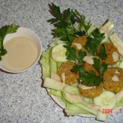 Falafel With Taratoor Sauce