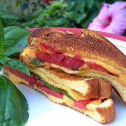 Fresh Tomato, Basil Grilled Cheese Sandwich