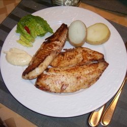 Grilled Tilapia