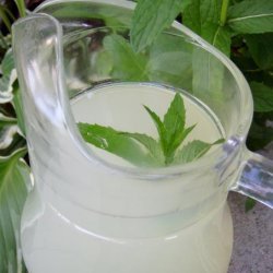 Mint Limeade