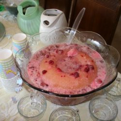 Raspberry Sherbet Punch