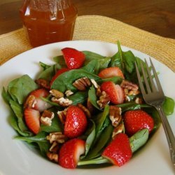 Jan's Beg for the Recipe Salad Dressing