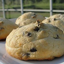 Chocolate Chip Scones