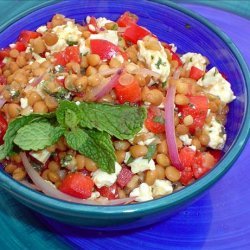 Lebanese Lentil Salad