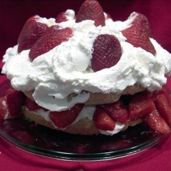 Old Fashioned Strawberry Shortcake with Sweetened Flavoured Whipped Cream