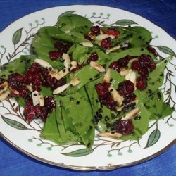 Cranberry Spinach Salad