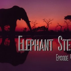 Elephant Stew