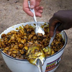 West African Beans