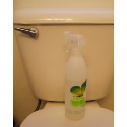 Environmentally Friendly Toilet Disinfectant