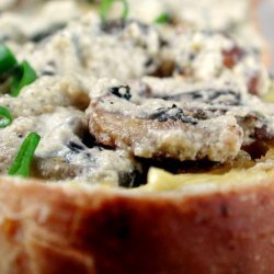 Mushroom Stroganoff on Toast