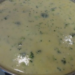 Cream of Broccoli Soup