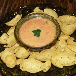 Velveeta Salsa Dip